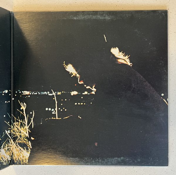 Bruce Cockburn Night Vision Record Album LP GOLD COLOUR VINYL!!! - Image 3