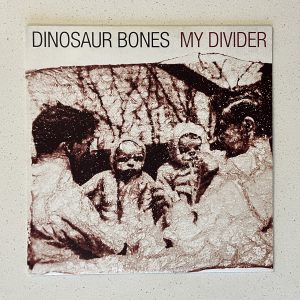 Dinosaur Bones My Divider Vinyl Record Album LP DAV040