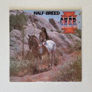 Cher Half Breed Vinyl Record Album LP NO SCRATCHES!!! MCA 2104