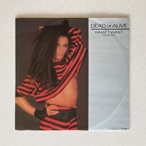 Dead Or Alive What I Want Dance Mix Vinyl Single 12" NO SCRATCHES!!! TA4510