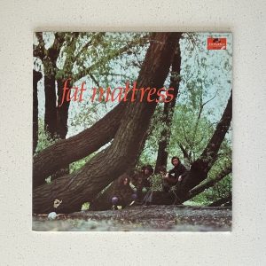 Fat Mattress Self Titled Vinyl LP Psych Noel Redding from Jimi Hendrix 543.075