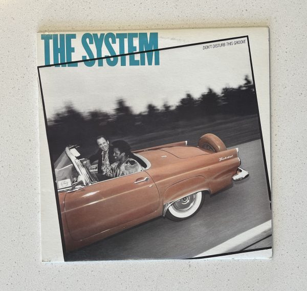 The System Don't Disturb This Groove Vinyl Album LP 12" NO SCRATCHES!!! 78 16911