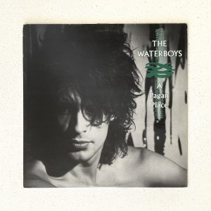 The Waterboys A Pagan Place Mike Scott Vinyl Record Album LP ISL 1001