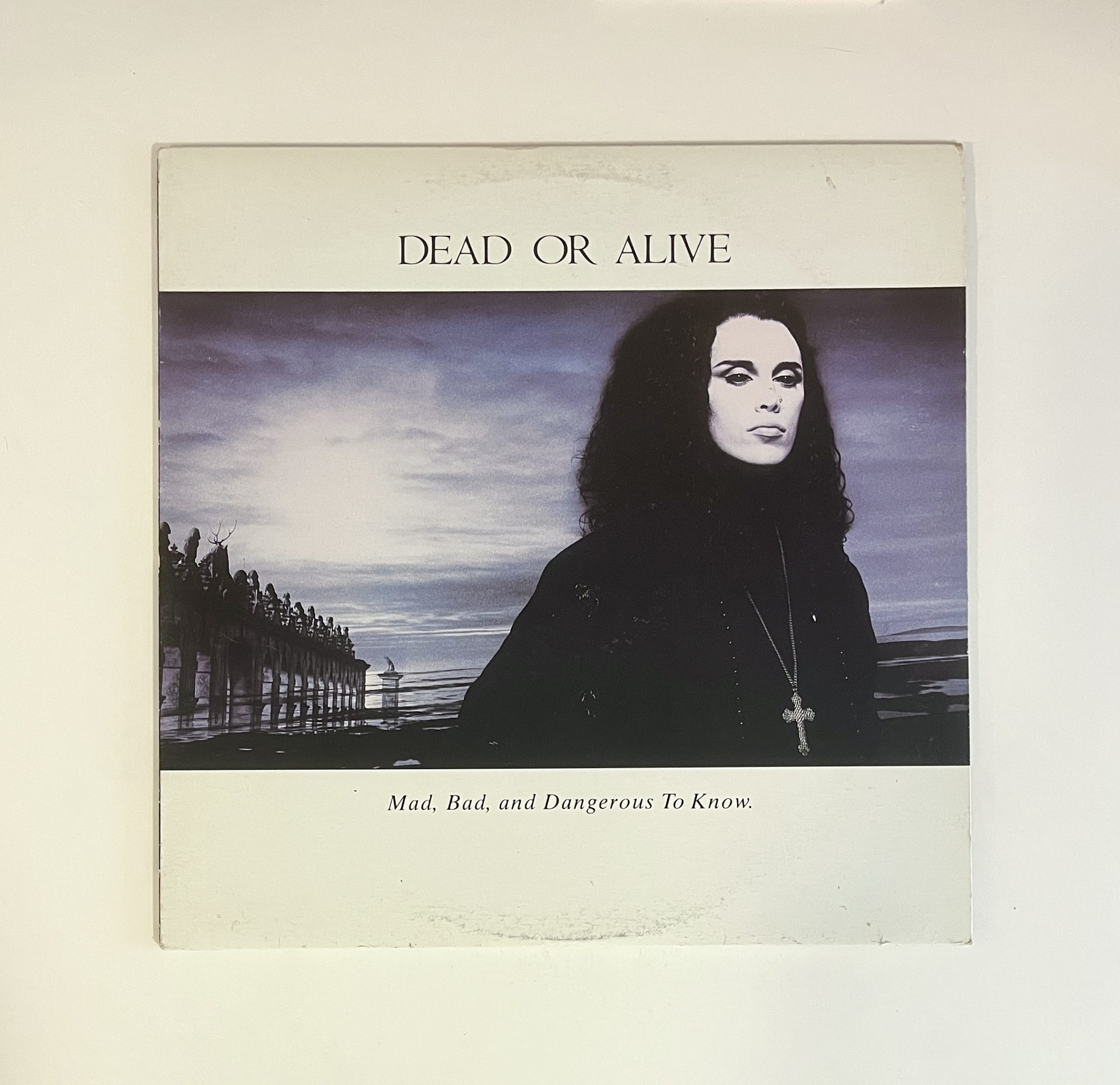 Dead Or Alive Mad Bad And Dangerous To Know Vinyl Record Album LP FE 40572