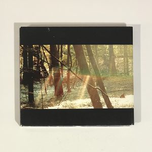 Childish Gambino Camp w/ Download Card RARE OOP CD GLS-0121-02