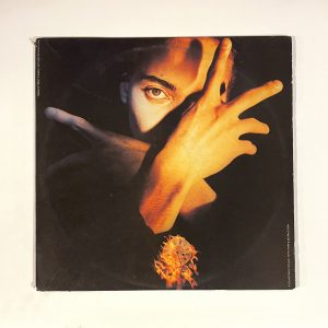 Terence Trent D'Arby Neither Fish Nor Flesh A Soundtrack Of Love, Faith, Hope, And Destruction Vinyl Album LP US PRESS + NO SCRATCHES!!! C 45351