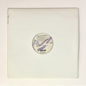 The Waterboys Fisherman's Blues Rare 12" Vinyl Maxi Single Made in Canada PROMO!!! NO SCRATCHES!!! CS 8850