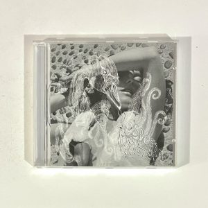 Bjork Vespertine Ambient Electronic CD E2 62653