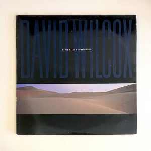David Wilcox The Natural Edge Vinyl Album LP OIS NO SCRATCHES!! C1 92464