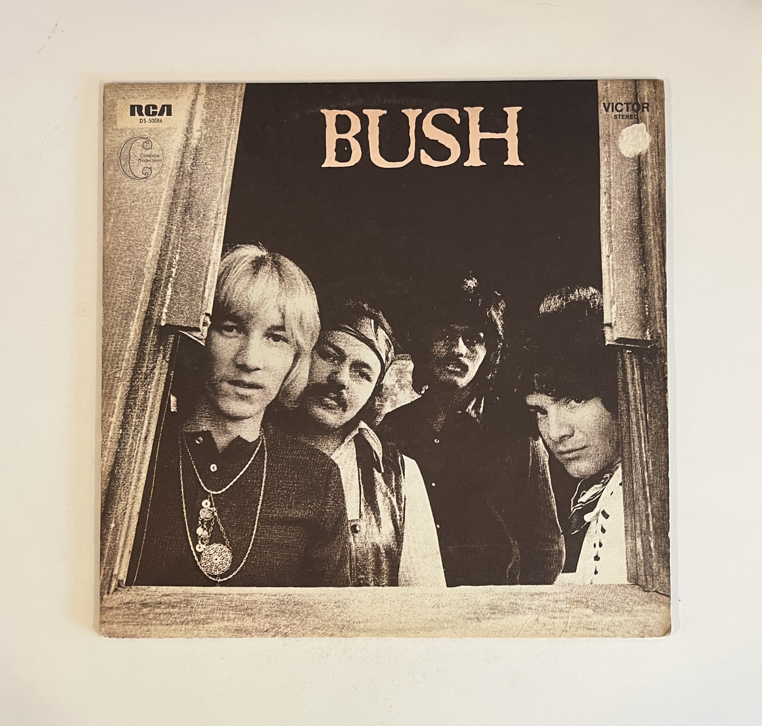 Bush Self Titled S/T Hard Rock Blues Vinyl Album LP DS-50086
