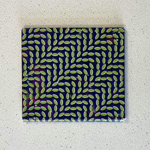 Animal Collective Merriweather Post Pavilion CD DNO 219