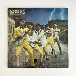 Donnie Iris Back On The Streets Rock Vinyl Album LP NO SCRATCHES!!! (MCA-5179)