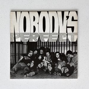 Par Four Nobody's Perfect Vinyl Album LP VG+/VG (BR 612008)