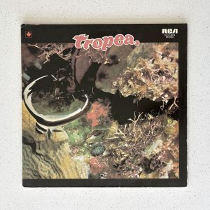 Tropea Self Titled S/T Steve Gadd Will Lee Vinyl Album LP VG+/VG+ (DXL1-4014)